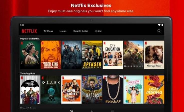 Netflix Mod Apk
